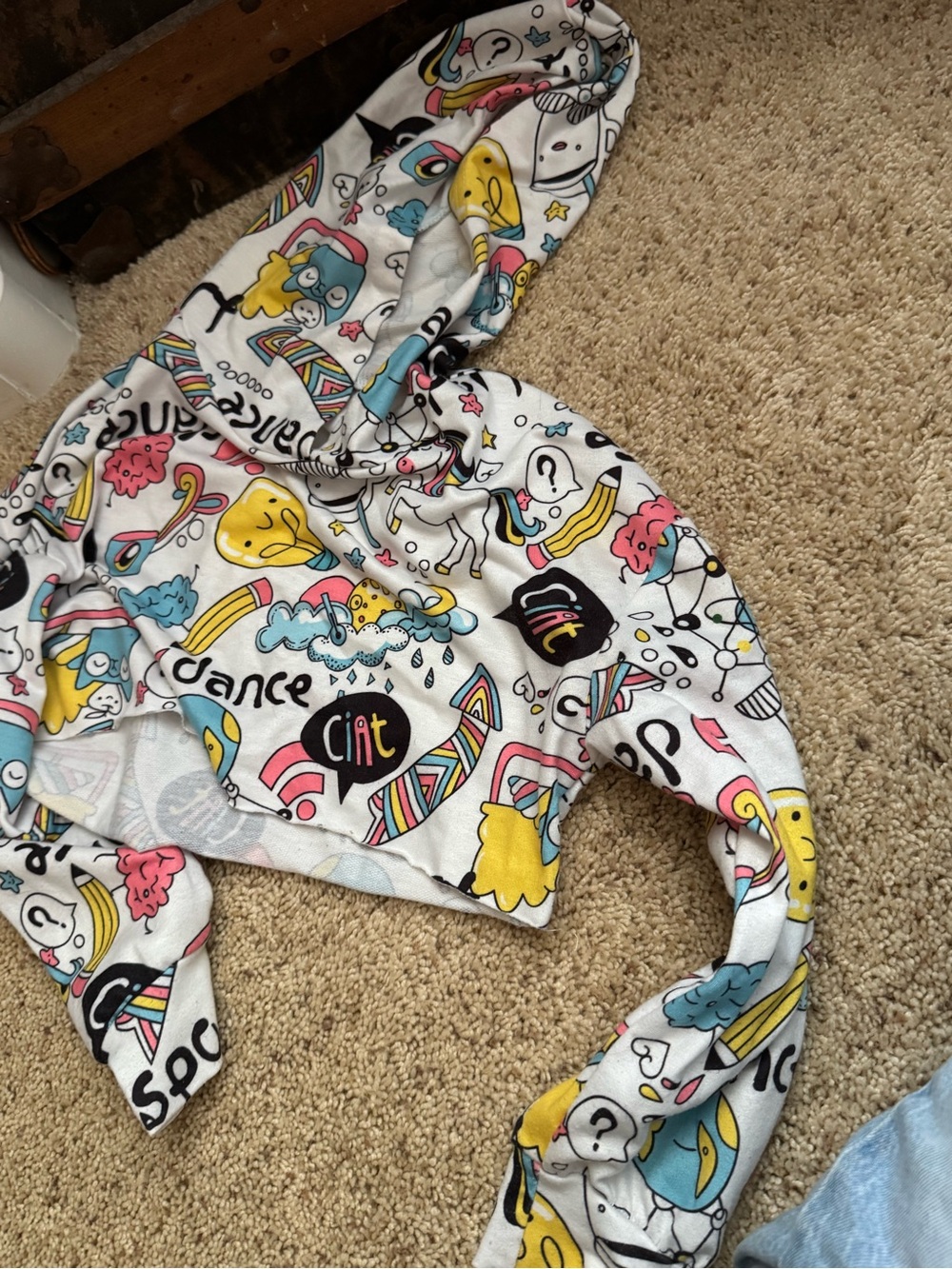 Kids hooded long sleeve top 🦄